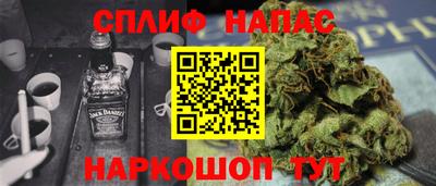 гашик Бийск