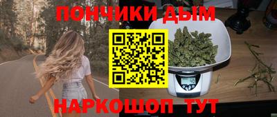 гашик Бийск