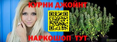 гашик Бийск