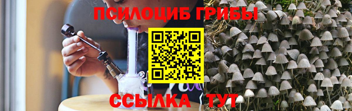 Избербаш  Галлюциногенные грибы GOLDEN TEACHER  Вход с VPN 
